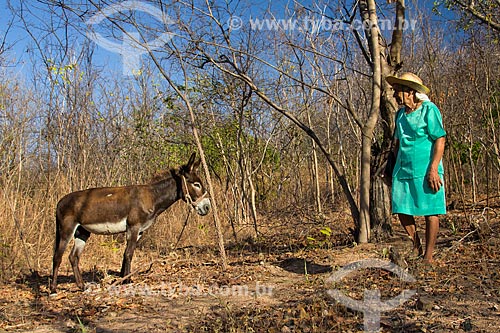  Assunto: Idosa próxima ao burro preso na árvore / Local: Juazeiro do Norte - Ceará (CE) - Brasil / Data: 10/2012 
