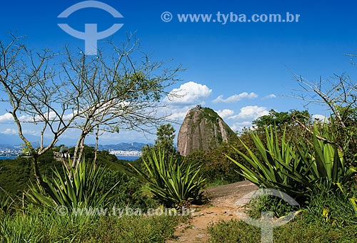  Assunto: Vista do Pão de Açúcar do Morro da Babilônia / Local: Urca - Rio de Janeiro (RJ) - Brasil / Data: 11/2011 