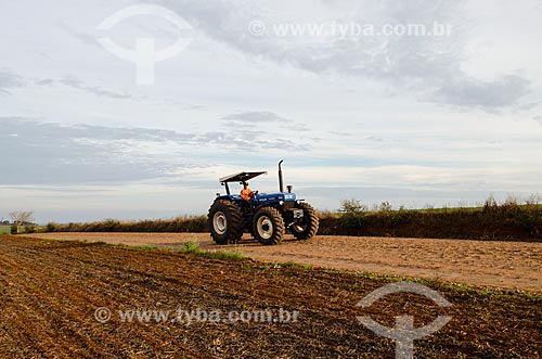  Assunto: Plantação de capim para gado / Local: São Miguel das Missões - Rio Grande do Sul (RS) - Brasil / Data: 06/2012 