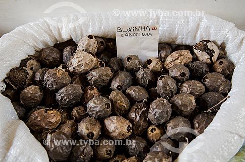  Assunto: Buchinha ou cabacinha vendida no Mercado Central -  Luffa operculata / Local: São Luís - Maranhão (MA) - Brasil / Data: 07/2012 