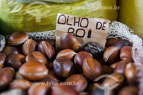  Assunto: Olho de boi vendida no Mercado Central - Dioclea wilsonii Standl / Local: São Luís - Maranhão (MA) - Brasil / Data: 07/2012 