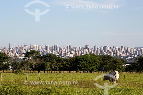  Assunto: Região central de Goiânia vista da campus da Universidade Federal de Goiás / Local: Goiânia - Goiás (GO) - Brasil / Data: 05/2014 