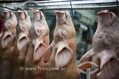  Assunto: Porcos em exposição em açougue do Mercado Municipal de Goiânia / Local: Goiânia - Goiás (GO) - Brasil / Data: 05/2014 
