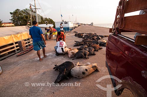  Assunto: Venda de porcos no Mercado da Rampa de Santa Inês - Esse tipo de comercialização de animais é considerado irregular segundo as autoridades sanitárias / Local: Macapá - Amapá (AP) - Brasil / Data: 10/2010 