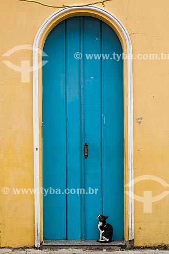  Assunto: Gato em frente de uma porta / Local: Cachoeira - Bahia (BA) - Brasil / Data: 12/2010 