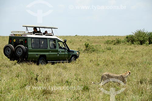  Assunto: Turistas observando Guepardo em safari na savana africana - Reserva Nacional Masai Mara / Local: Vale do Rift - Quênia - África / Data: 09/2012 