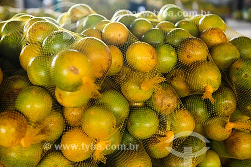  Assunto: Laranjas à venda no Mercado Municipal Adolpho Lisboa / Local: Manaus - Amazonas (AM) - Brasil / Data: 04/2014 