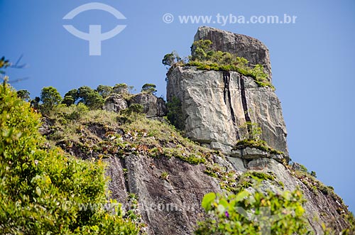  Assunto: Vista da Pedra da Caixa de Fósforo no Parque Estadual dos Três Picos / Local: Teresópolis - Rio de Janeiro (RJ) - Brasil / Data: 05/2014 