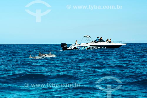  Assunto: Golfinhos se aproximando dos barcos na costa de Maurício / Local: Maurício - África / Data: 11/2012 
