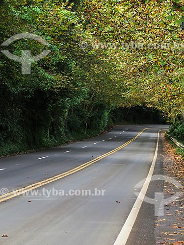  Assunto: Estrada Rota Romântica na BR-116 / Local: Morro Reuter - Rio Grande do Sul (RS) - Brasil / Data: 05/2014 