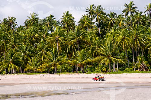  Assunto: Bugres em passeio turístico na Praia Ponta de Mangue / Local: Maragogi - Alagoas (AL) - Brasil / Data: 12/2013 