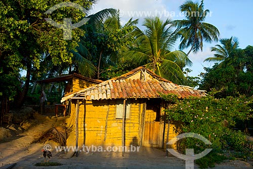 Assunto: Casa de caiçara na margens da Rodovia da AL-101 / Local: Maragogi - Alagoas (AL) - Brasil / Data: 12/2013 