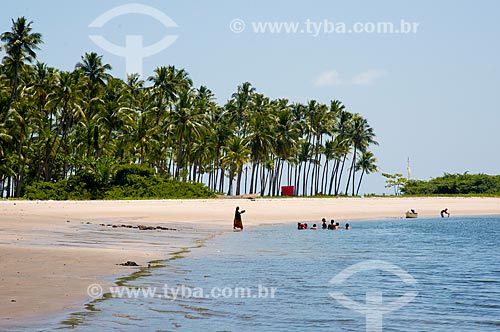  Assunto: Coqueiros na Praia de Guadalupe / Local: Sirinhaém - Pernambuco (PE) - Brasil / Data: 12/2013 