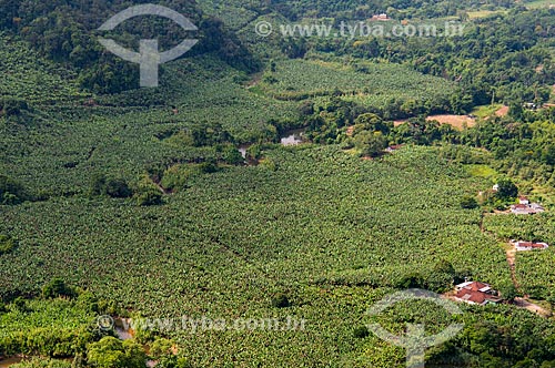  Foto aérea de plantação de bananas próximo à Rodovia Régis Bittencourt (BR-116)  - Miracatu - São Paulo (SP) - Brasil