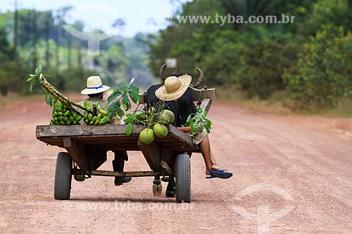  Agricultores no Km 25 da Estada BR-174  - Manaus - Amazonas (AM) - Brasil