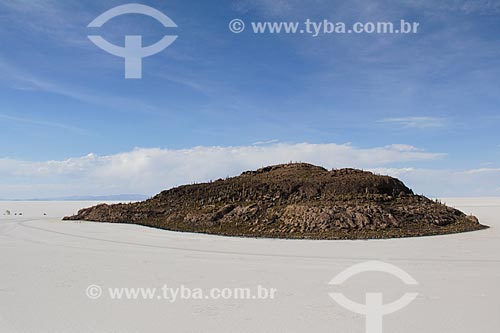  Isla Pescado (Ilha do Pescado) - também conhecida como Isla Incahuasi  - Departamento Potosí - Bolívia