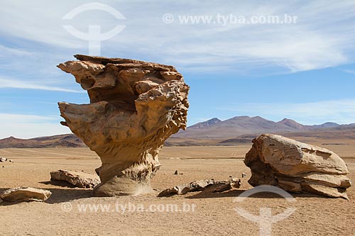  Árbol de Piedra (Árvore de Pedra) no Deserto de Siloli  - Departamento Potosí - Bolívia