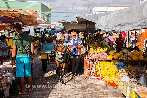  Carroça em feira livre  - Belém de São Francisco - Pernambuco (PE) - Brasil