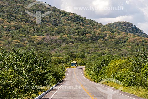  Ônibus na Rodovia PE-390  - Serra Talhada - Pernambuco (PE) - Brasil