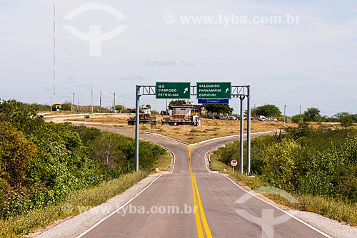  Bifurcação na Rodovia BR-316  - Cabrobó - Pernambuco (PE) - Brasil