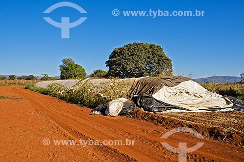 Silo bolsa com insumos agrícolas  - Pimenta - Minas Gerais (MG) - Brasil