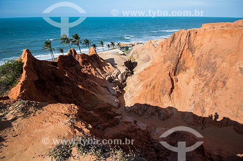  Monumento Natural das Falésias de Beberibe com a Praia de Morro Branco ao fundo  - Beberibe - Ceará (CE) - Brasil