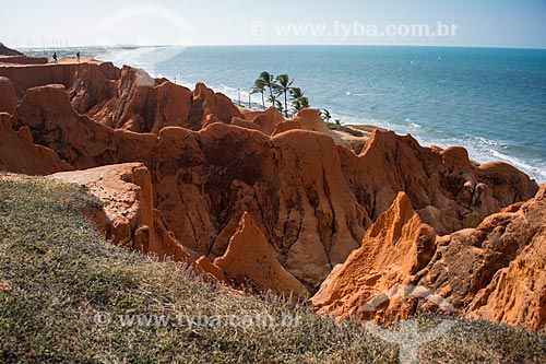  Monumento Natural das Falésias de Beberibe com a Praia de Morro Branco ao fundo  - Beberibe - Ceará (CE) - Brasil