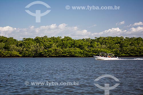  Detalhe de área de mangue no Delta do Parnaíba  - Maranhão (MA) - Brasil