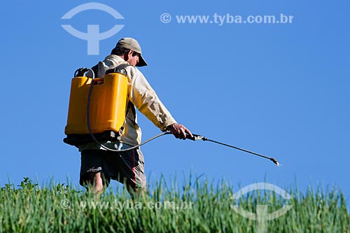  Homem aplicando o inseticida folidol em plantação sem equipamento de proteção  - Petrópolis - Rio de Janeiro (RJ) - Brasil