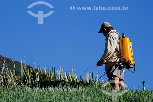  Homem aplicando o inseticida folidol em plantação sem equipamento de proteção  - Petrópolis - Rio de Janeiro (RJ) - Brasil