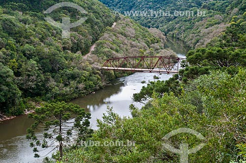  Vista geral da Ponte Passo do Inferno na Reserva Ecológica do Parque da Cachoeira  - Canela - Rio Grande do Sul (RS) - Brasil