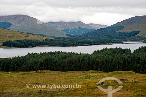  Paisagem da região de Glen coe  - Lochaber - Highland - Escócia