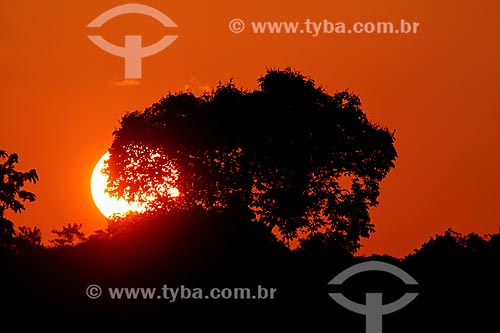  Pôr do sol no município de Maués  - Maués - Amazonas (AM) - Brasil