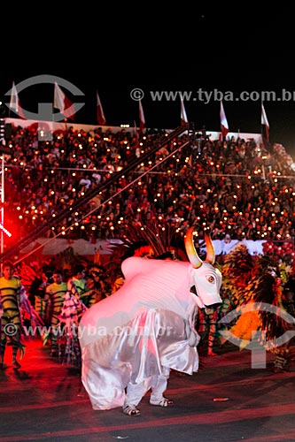  Desfile do Boi Flor do Campo durante o festival de folclore de Guajará-Mirim  - Guajará-Mirim - Rondônia (RO) - Brasil