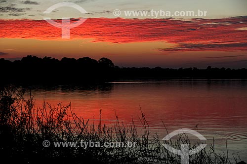  Nascer do sol no Lago Cuniã - Reserva Extrativista do Lago Cuniã  - Porto Velho - Rondônia (RO) - Brasil