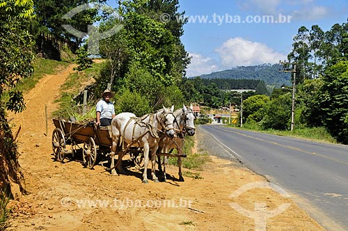  Carroça próximo à estrada na cidade de Witmarsum  - Witmarsum - Santa Catarina (SC) - Brasil