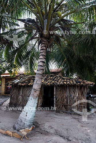  Casa de sapé próximo ao Parque Nacional dos Lençóis Maranhenses  - Barreirinhas - Maranhão (MA) - Brasil