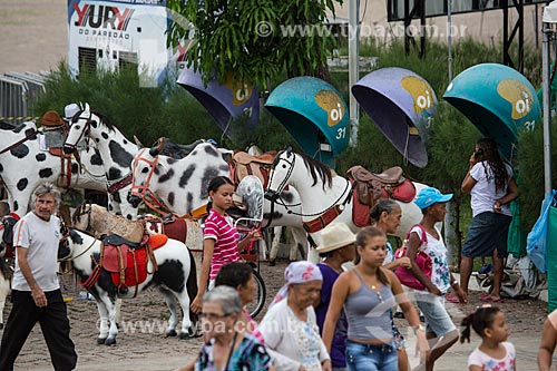  Cavalos artesanais usados para fotografias de recordação na Praça dos Romeiros - em frente à Basílica Santuário de Nossa Senhora das Dores  - Juazeiro do Norte - Ceará (CE) - Brasil