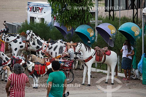  Cavalos artesanais usados para fotografias de recordação na Praça dos Romeiros - em frente à Basílica Santuário de Nossa Senhora das Dores  - Juazeiro do Norte - Ceará (CE) - Brasil