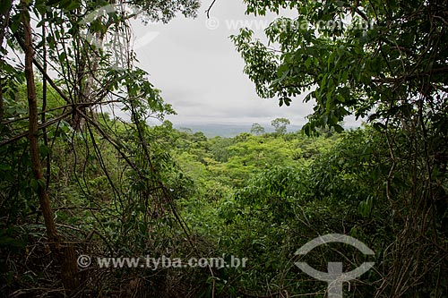  Vista geral da Floresta Nacional do Araripe-Apodi  - Nova Olinda - Ceará (CE) - Brasil