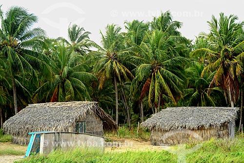  Casas em comunidade caiçara próximo à cidade de Porto de Pedras - Rota Ecológica de Alagoas  - Porto de Pedras - Alagoas (AL) - Brasil
