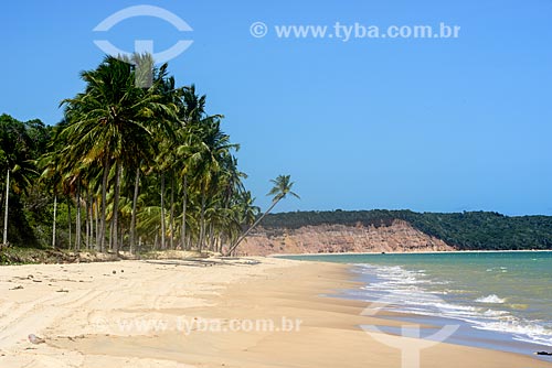  Vista da orla da Praia de Carro Quebrado na Rota Ecológica de Alagoas  - Passo de Camaragibe - Alagoas (AL) - Brasil