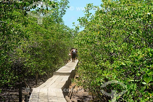  Ponte no sobre o Rio Tatuamunha na área do Projeto Peixe-boi - Rota Ecológica de Alagoas  - Porto de Pedras - Alagoas (AL) - Brasil