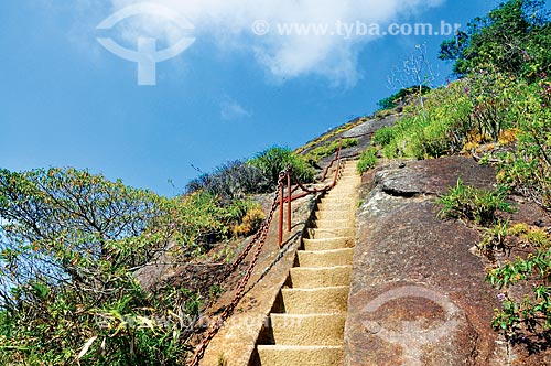  Escada de acesso ao Pico da Tijuca no Parque Nacional da Tijuca  - Rio de Janeiro - Rio de Janeiro (RJ) - Brasil