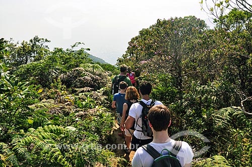  Trilha de acesso ao Pico da Tijuca no Parque Nacional da Tijuca  - Rio de Janeiro - Rio de Janeiro (RJ) - Brasil