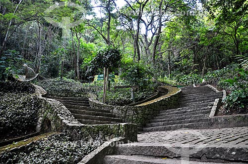  Trilha no Parque Natural Municipal da Catacumba  - Rio de Janeiro - Rio de Janeiro (RJ) - Brasil