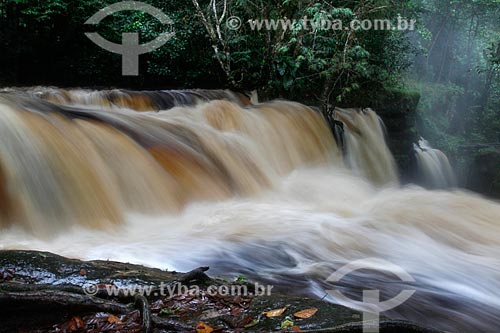  Cachoeira do Santuário na Reserva Biológica da Cachoeira do Santuário  - Presidente Figueiredo - Amazonas (AM) - Brasil