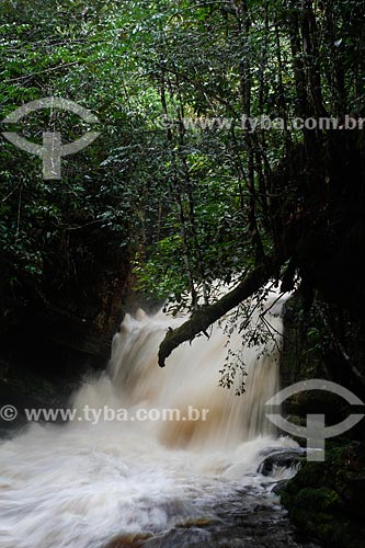  Cachoeira do Santuário na Reserva Biológica da Cachoeira do Santuário  - Presidente Figueiredo - Amazonas (AM) - Brasil