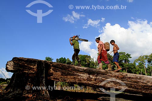  Agricultores no assentamento Taruma Mirim localizado no KM 28 da Estrada BR-174  - Manaus - Amazonas (AM) - Brasil