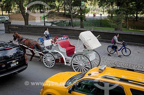  Carruagem para passeio turístico próximo ao Central Park  - Cidade de Nova Iorque - Nova Iorque - Estados Unidos
